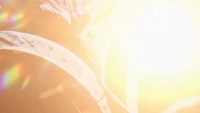 Lobo/Morte (Deaht Wolf) Edit - Neon Blades (ESPECIAL DE 200 INSCRITOS)