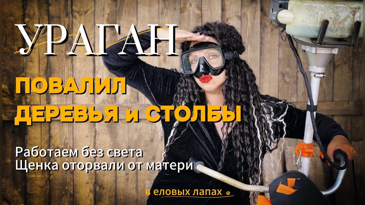В деревне ураган повалил дерево и столб! Света нет. Делаем грядки и готовим ягодный пирог!!