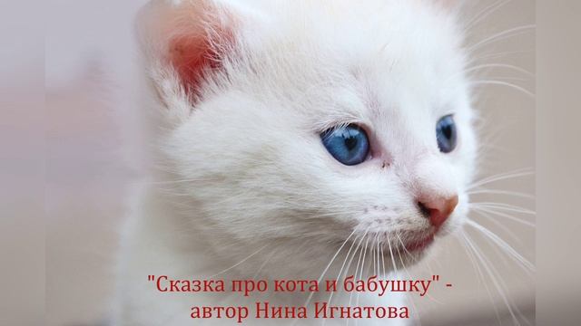 "СКАЗКА ПРО КОТА И БАБУШКУ" - АВТОР НИНА ИГНАТОВА
