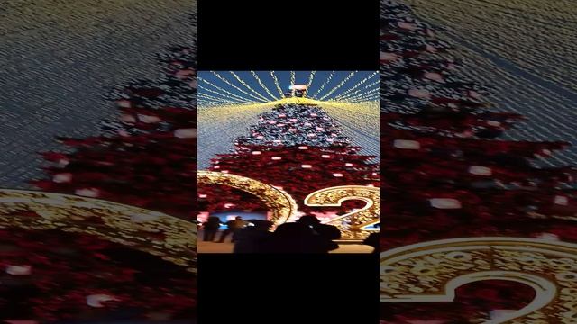 1000017745.mp4