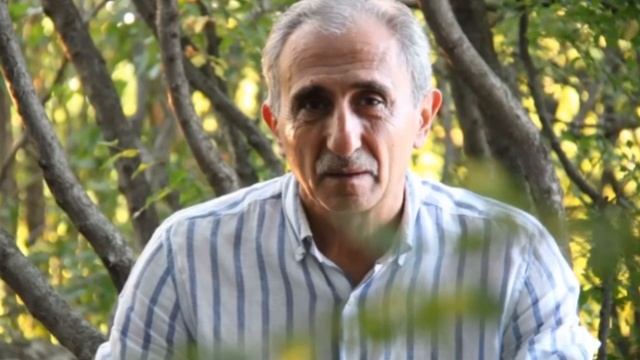 А.А. Бабаянц о Дмитрии Дмитриеве