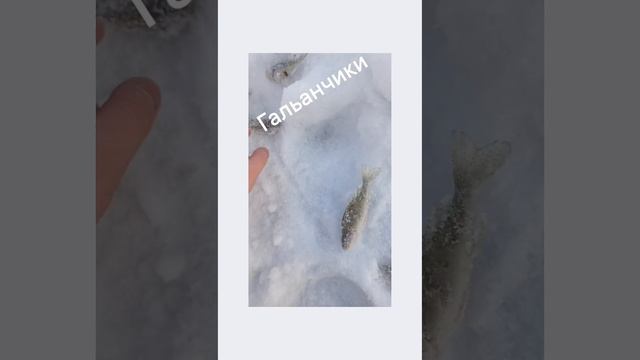 1000005812.mp4