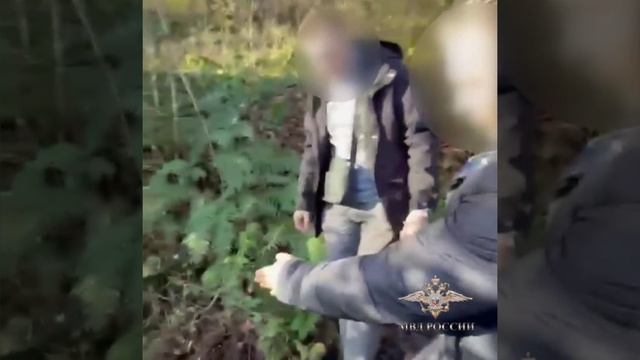 Украл 168 миллионов рублей из ячеек в депозитарном центре и.о. директора организации.