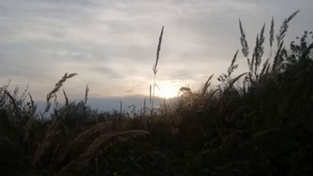 ВЕНИАМИНОВИЧ - Не шути с Природой (музыкальный альбом)
