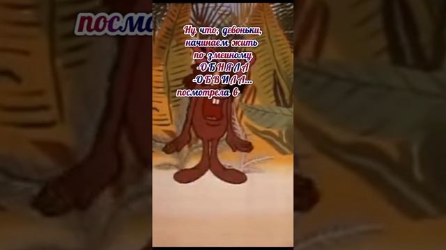 #год змей #