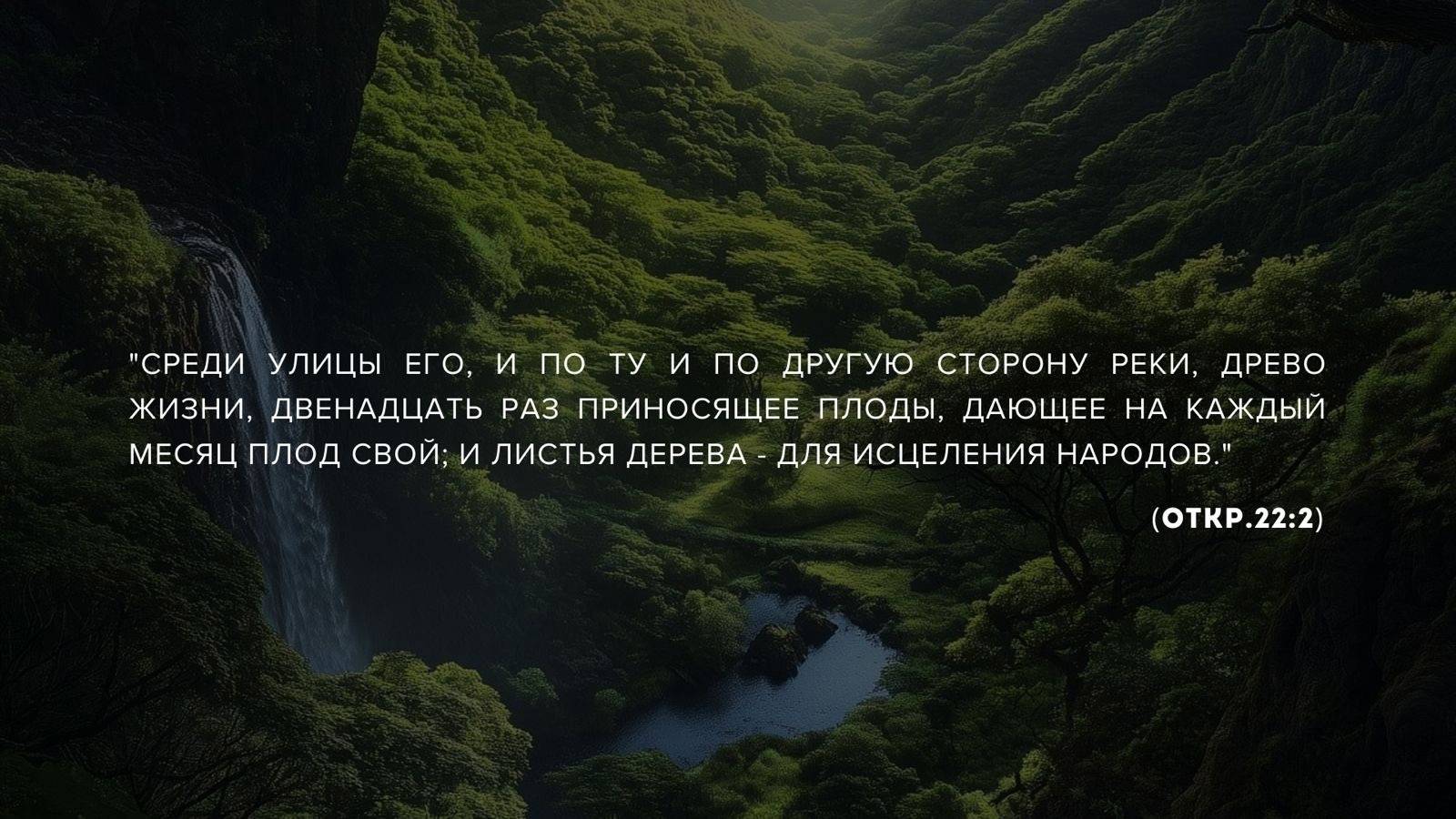19.01.2025 Владивосток - Серебренников Александр