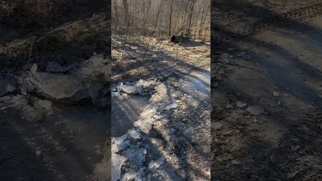Мы лёд под ногами майора