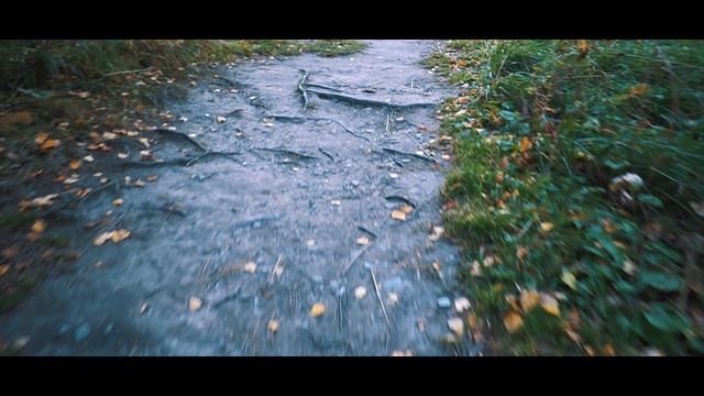 Телецкое озеро. Озеро на северо-востоке Алтайских гор.