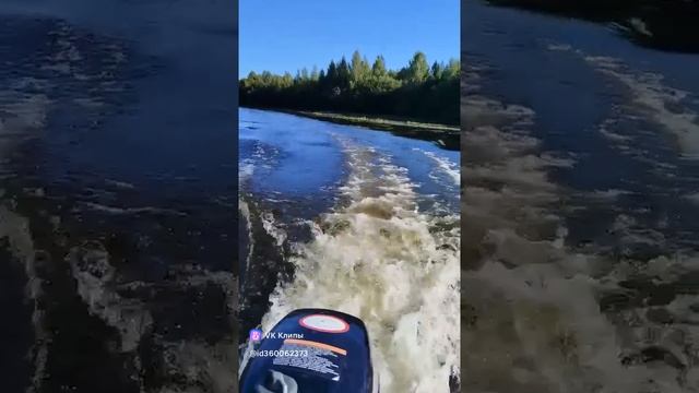clip360062373_456239035.mp4