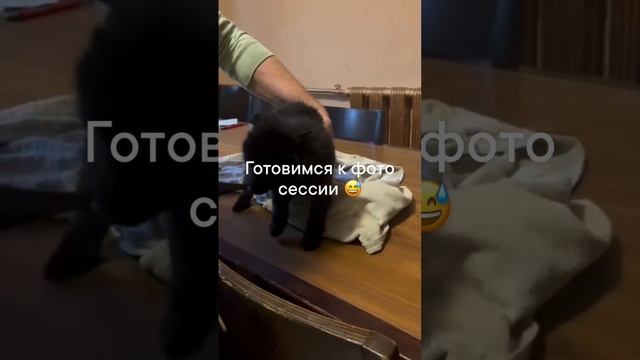 Готовимся к фотосессии