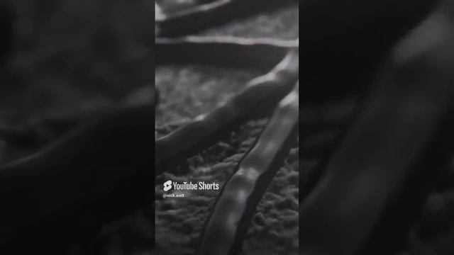 Resident evil 7: Biohazard