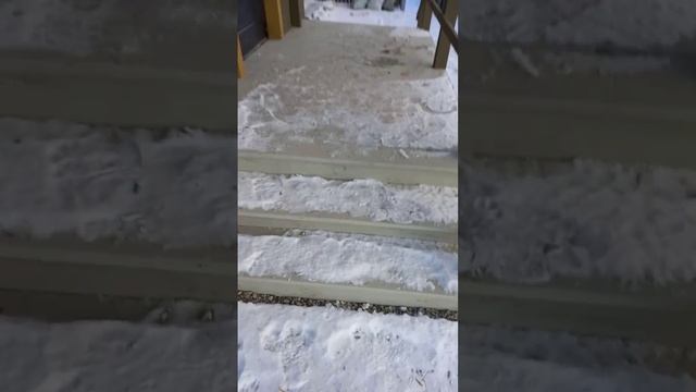 Купеческая видео проверка