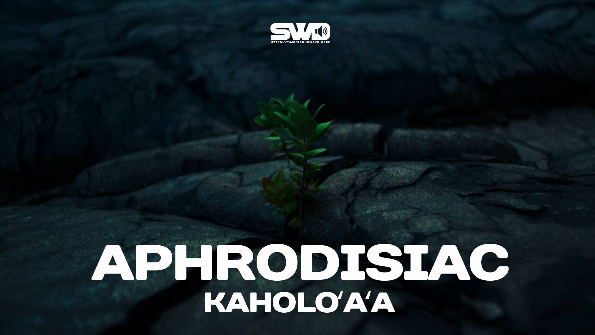 Aphrodisiac | rework: PROfan