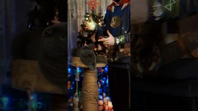 #КиракосянВладислав