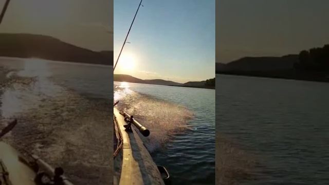 В поисках рыбоф))