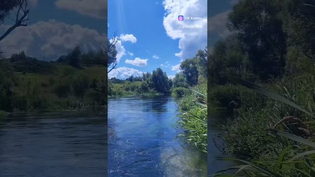 Сплав по реке Зуша на байдарках Шуя 1 #сплав #сплавпореке #байдарка #туризм #зуша #путешествие #река