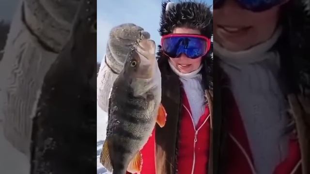 Анечка и Окушки.