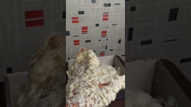 Как отмыть монтажную пену с рук - совет действительно очень полезный. По себе знаю как это сложно