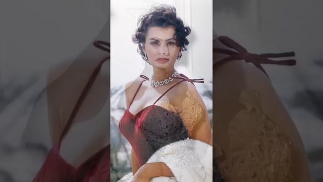#SophiaLoren