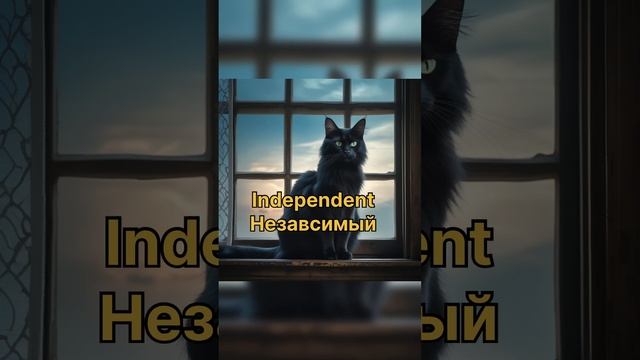 Прилагательные английский язык. Английский для начинающих.