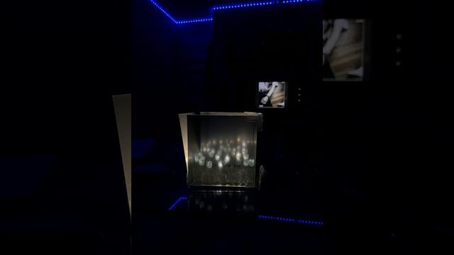 motya shmoka-глаза