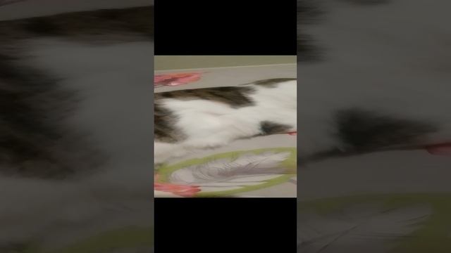 Маруся