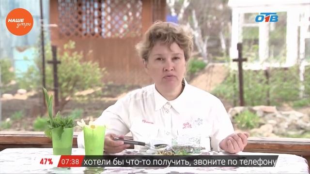 Боррелиоз. Лечение и профилактика