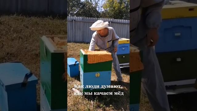 это касается пчеловод которые не пожалели денег на качественных маток или пчелопакеты