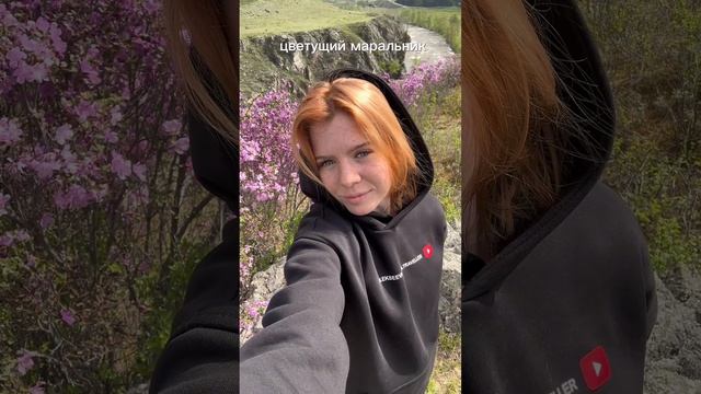 Сколько стоит отдохнуть на Алтае?