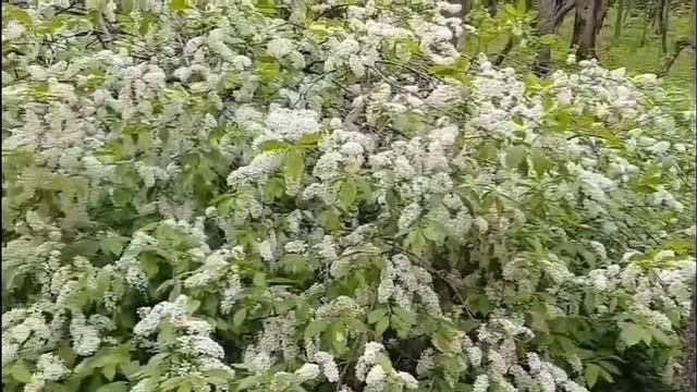 Ҡайтам инде