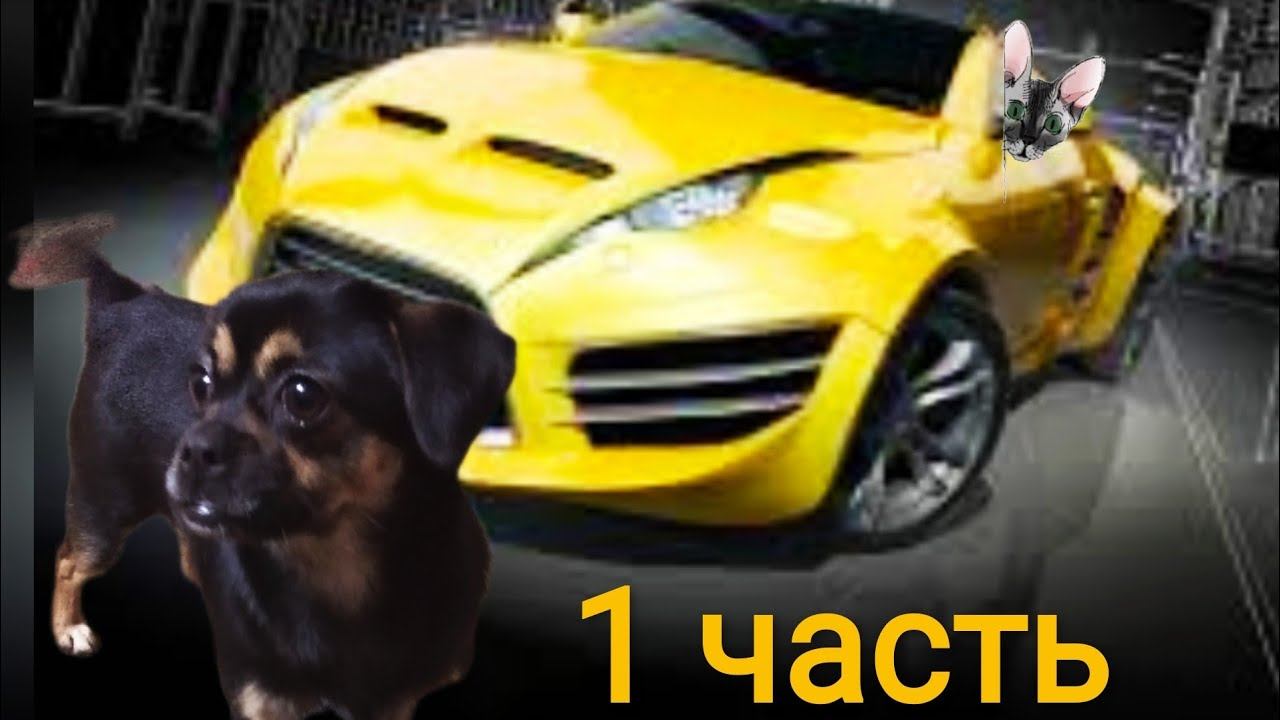 Первая встреча Лыси и Мии. Часть 1.