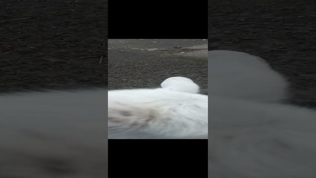 Вот какие мы красивые