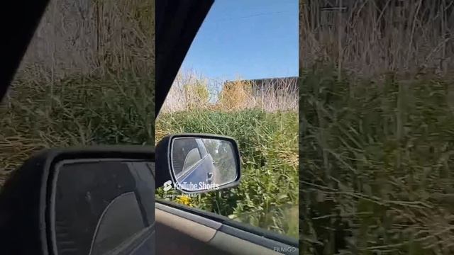 Соседние село