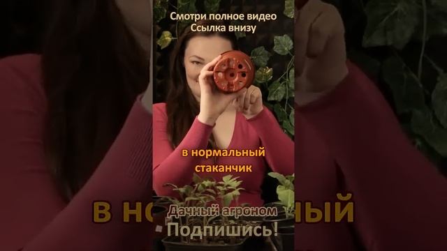 СПАСАЕМ РАССАДУ СОСЕДКИ из яичной скорлупы