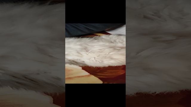 Котик отдыхает