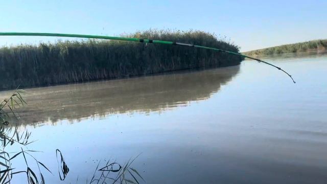 Рыбалка в Ганюшкино. Дельта Волги. Август 2023 год. Жара +40