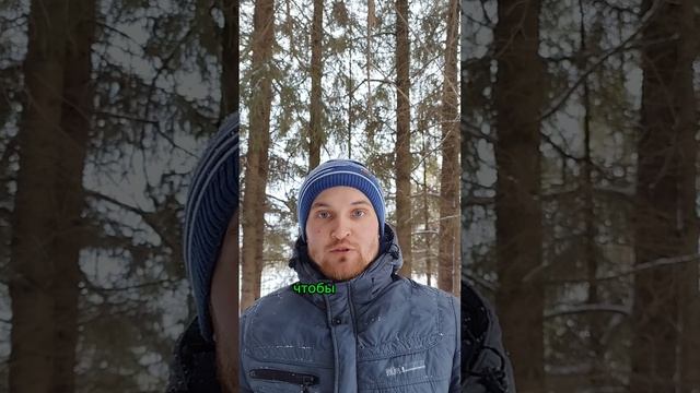 жить по кодексу #жить #кодекс #ответственность #live #code #responsibility #short #shorts #video