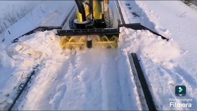 Бобр курва