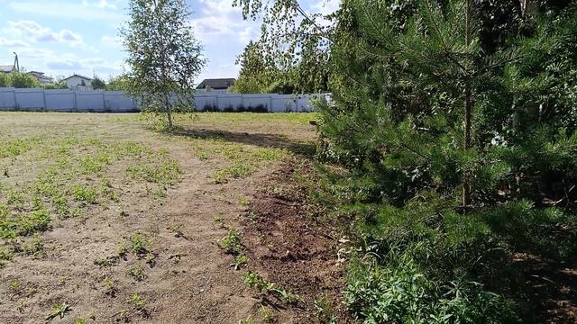 Сделали дренаж участка под ключ от компании БауШтада. Участок просто не узнать