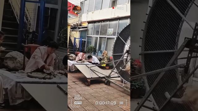 Одна - Лабрадорская Сила!👍.mp4