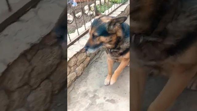 Аватар на прогулке