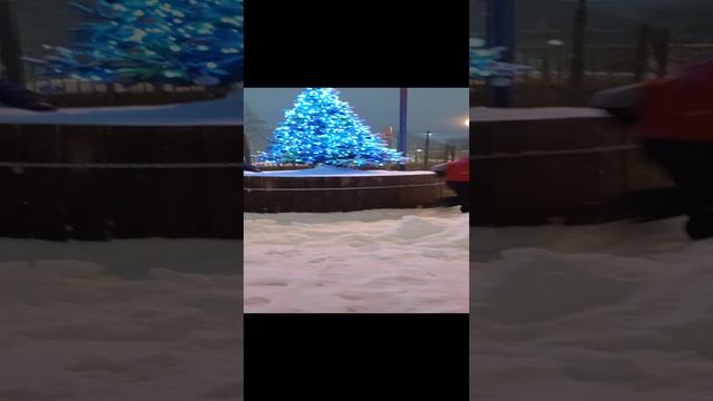 мы про вождём новый год