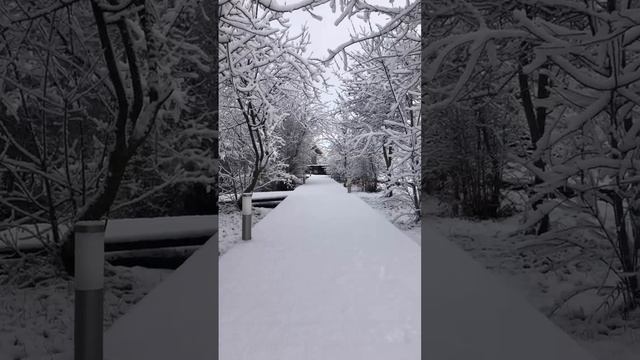 Зима в Крыму ☃️❄️⛄️