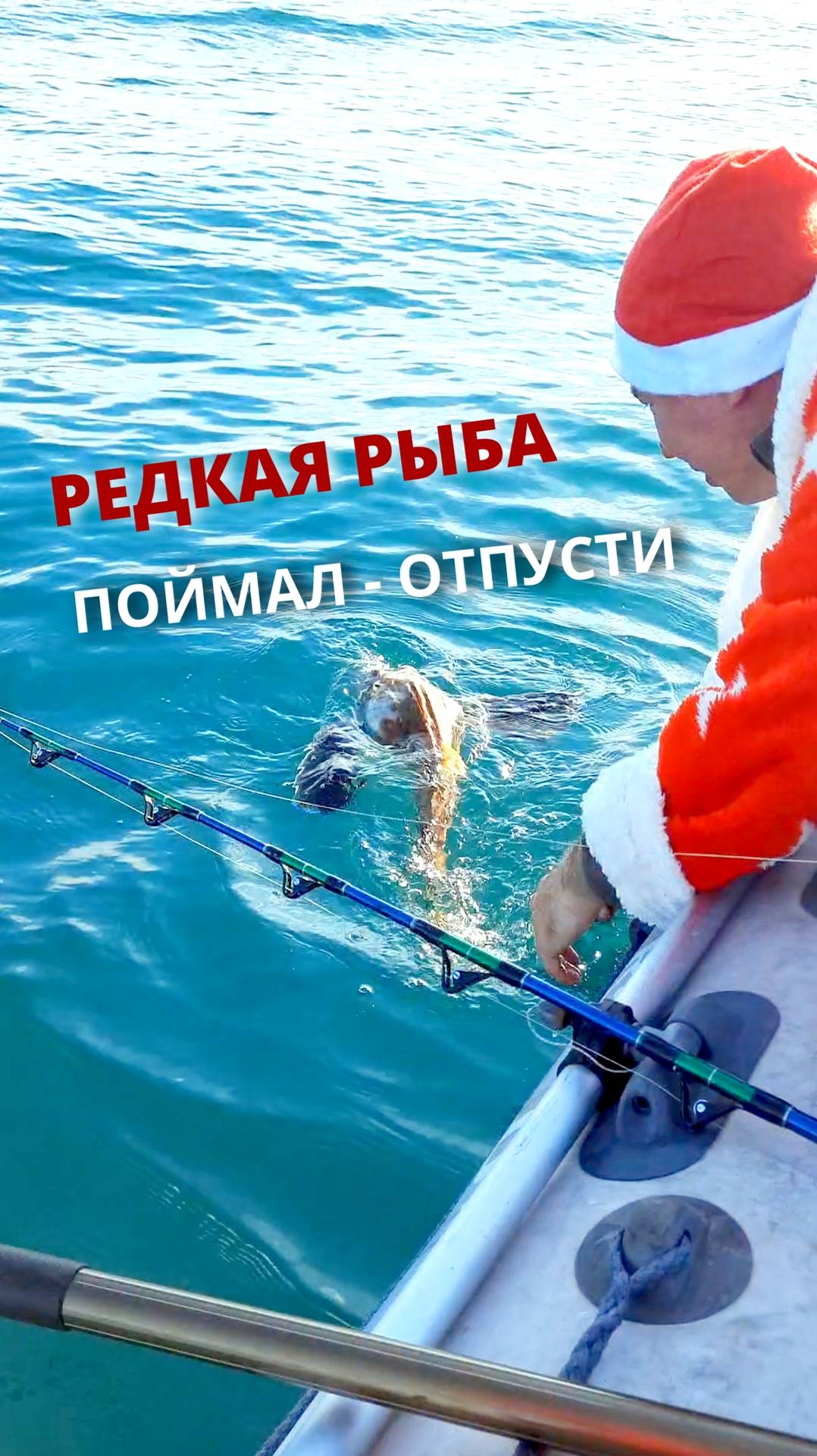 Дед Мороз на зимней морской рыбалке поймал редкую рыбу и отпустил ее на волю.