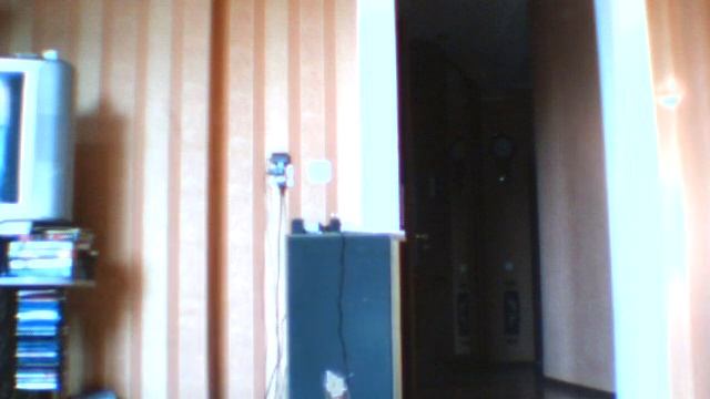 Скайфиш в комнате(Sky fish in room)