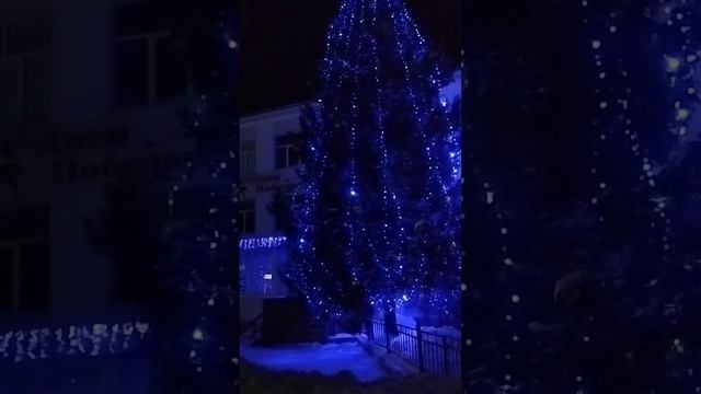 Очень красивая и большая ёлка в городе🎄🎄🎄 😍😍😍