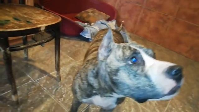 Угадайка от Эми.