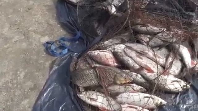 Закрытие сезона 2023.... _косачёвская_ протока.