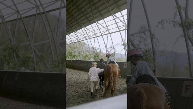 7673277-uhd_2160_3840_24fps