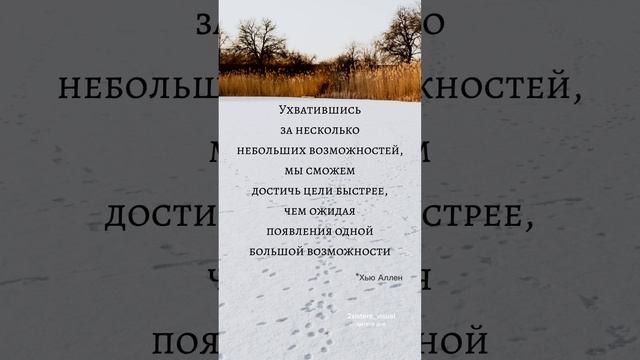 Цитата дня